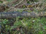 image of grave number 546285